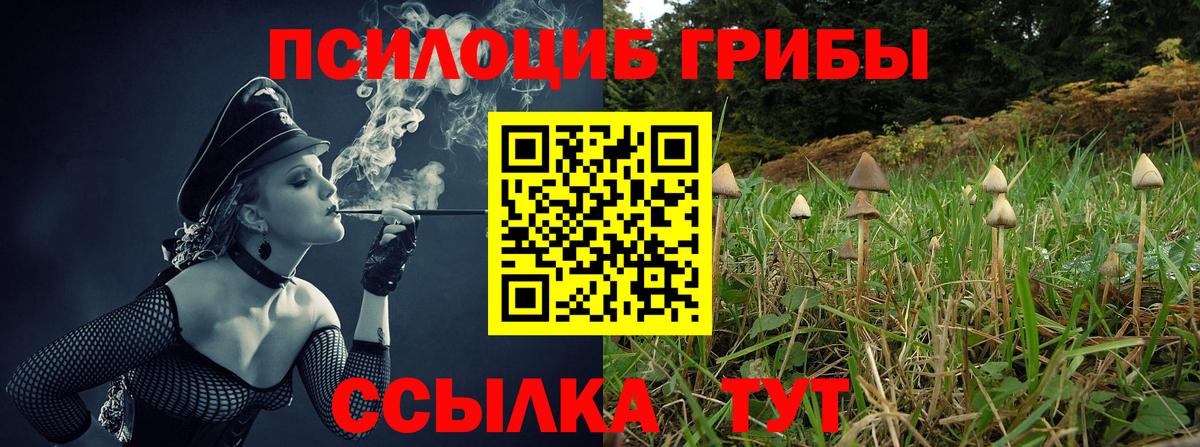 Дедовск  Галлюциногенные грибы мицелий  Вход с VPN  Галлюциногенные грибы мухоморы 