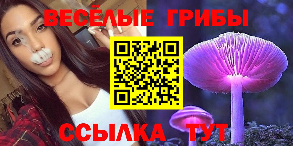 Галлюциногенные грибы ЛСД Дедовск
