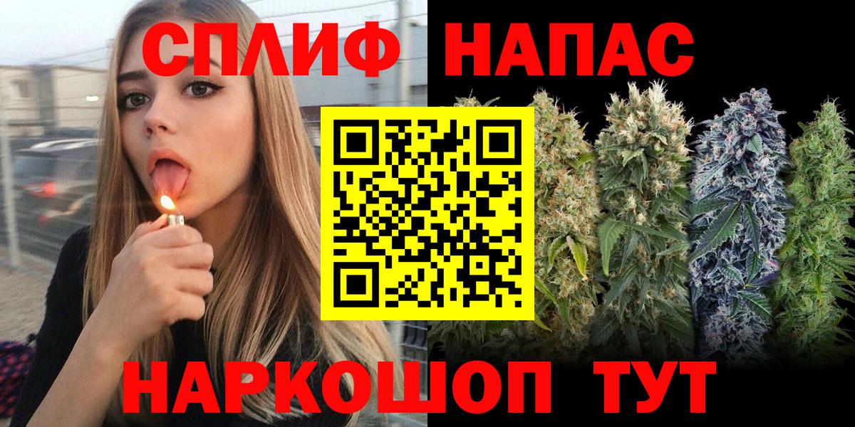 Каннабис планчик Дедовск